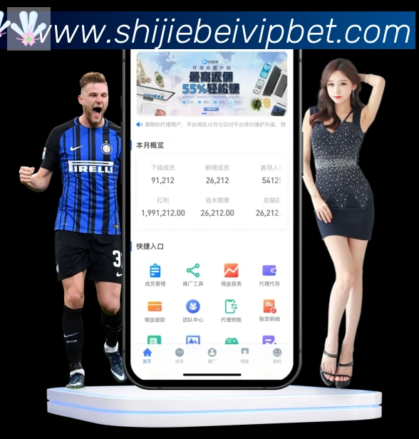 App界面